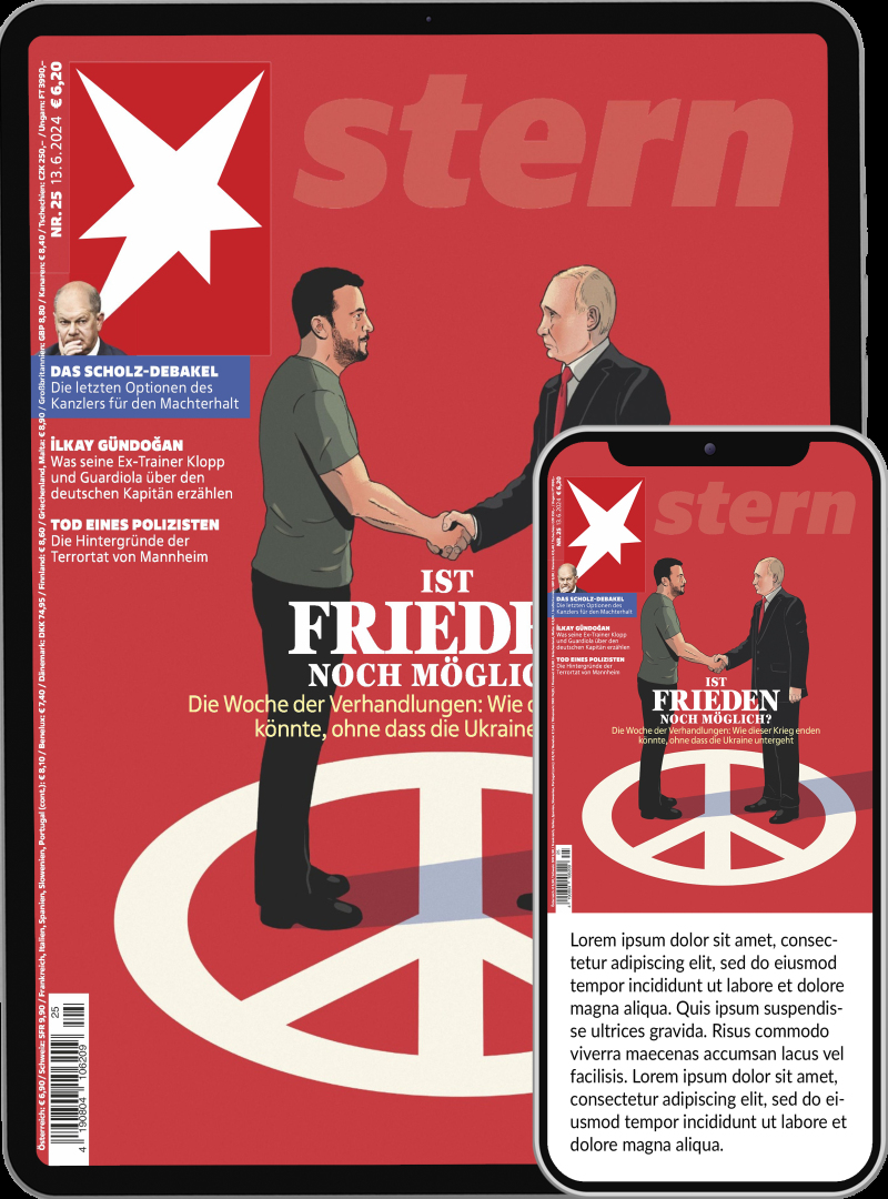 stern Digital